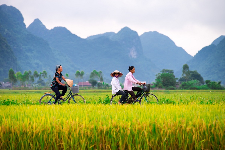 voyage au vietnam, voyage vietnam